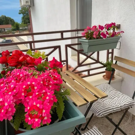 Cozy By The In Byala Apartament